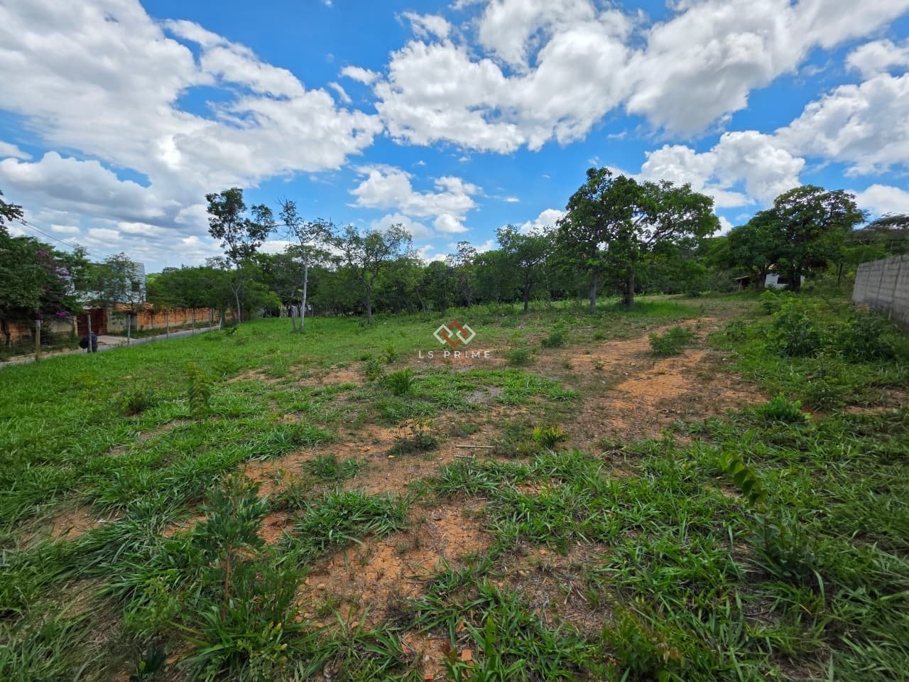 WhatsApp Image 2025-11-29 at 12.02