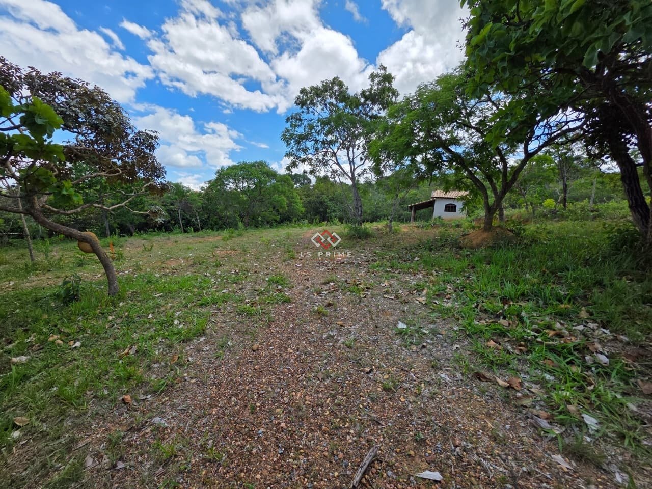 WhatsApp Image 2025-11-29 at 12.02