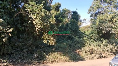 land_lot em Avenida Inglaterra, Jardim Santa Paula - Cotia - SP