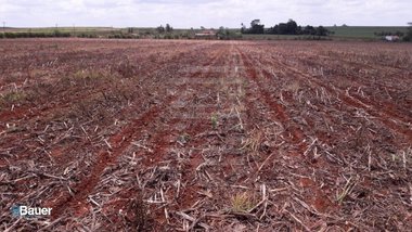 commercial_building em Theodomiro Delegá, Chácaras Recanto Solar - Nova Odessa - SP