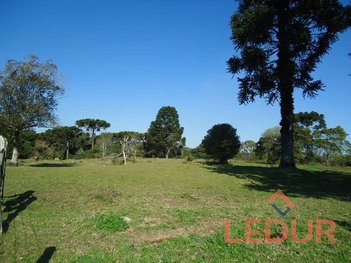 land_lot em Rua dos Pessegueiros, São Francisco de Paula - São Francisco de Paula - RS