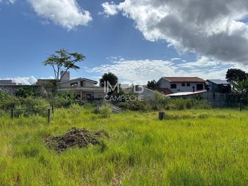 land_lot em Servidão Revoar das Gaivotas, Campeche - Florianópolis - SC