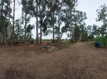 land_lot em Retiro da Ponta Grossa, Ponta Grossa - Porto Alegre - RS
