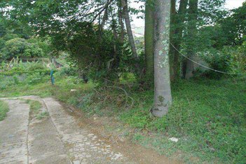 land_lot em Rua Andrômeda, Jardim Novo Horizonte - Carapicuíba - SP