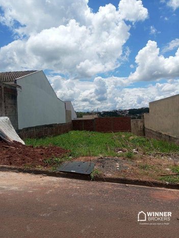land_lot em Rua Ana Ligia Mendes da Rosa, Jardim Ana Ligia - Mandaguaçu - PR