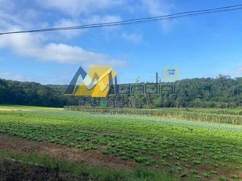 land_lot em Estrada Santa Mônica, Parque Santa Rosa - Suzano - SP
