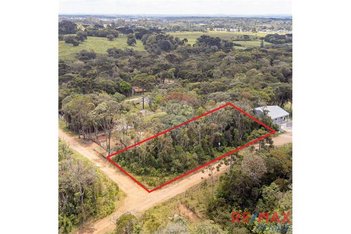 land_lot em Estrada da Roseira, Borda do Campo - São José dos Pinhais - PR