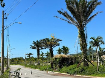 land_lot em Rodovia Armando. Calil Bulos, Ingleses do Rio Vermelho - Florianópolis - SC