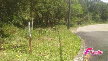land_lot em Waldemar Figueiró, João Paulo - Florianópolis - SC