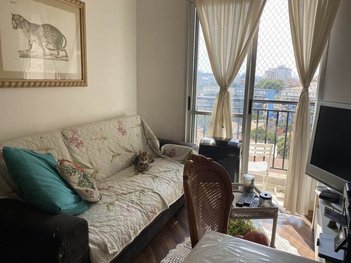 apartment em Rua Milton Soares, Jardim Icaraí - São Paulo - SP
