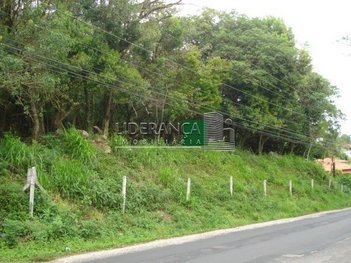land_lot em Rodovia Jornalista Manoel de Menezes, Barra da Lagoa - Florianópolis - SC