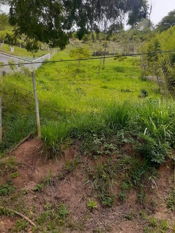 land_lot em Estrada do Palmital, Nogueira - Petrópolis - RJ