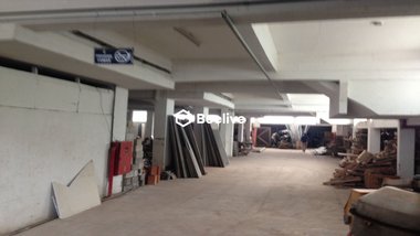 business em Rua Stela de Souza, Sagrada Família - Belo Horizonte - MG