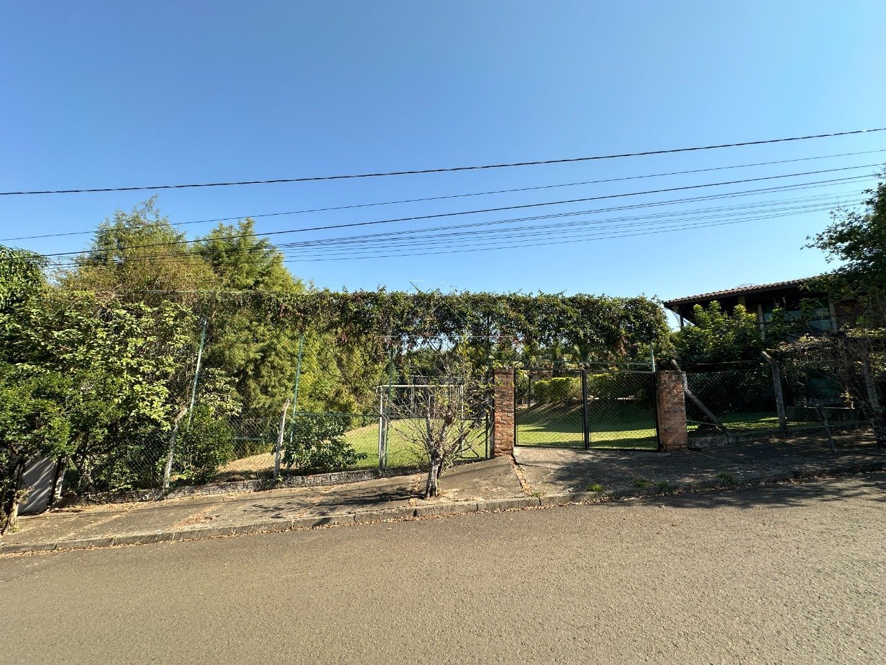 image-0