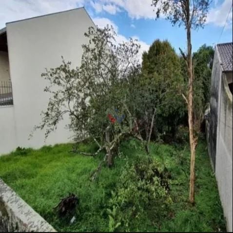 image-3