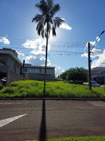 land_lot em Avenida Bom Pastor, Vila Vilas Boas - Campo Grande - MS