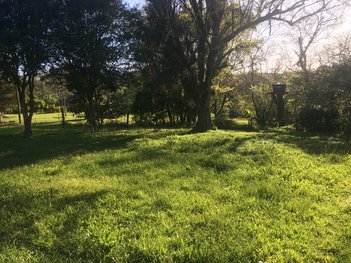 commercial_building em Braulino De Azevedo, Estação - Montenegro - RS