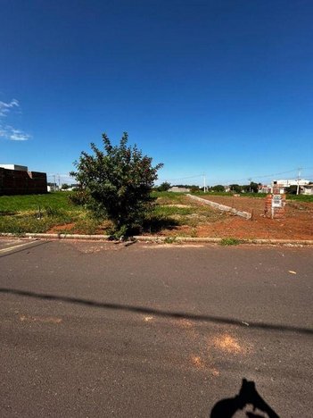 land_lot em Rua José Mazariolli, São Rafael - Araçatuba - SP