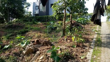 land_lot em Rua Laurindo Januário da Silveira, Lagoa da Conceição - Florianópolis - SC