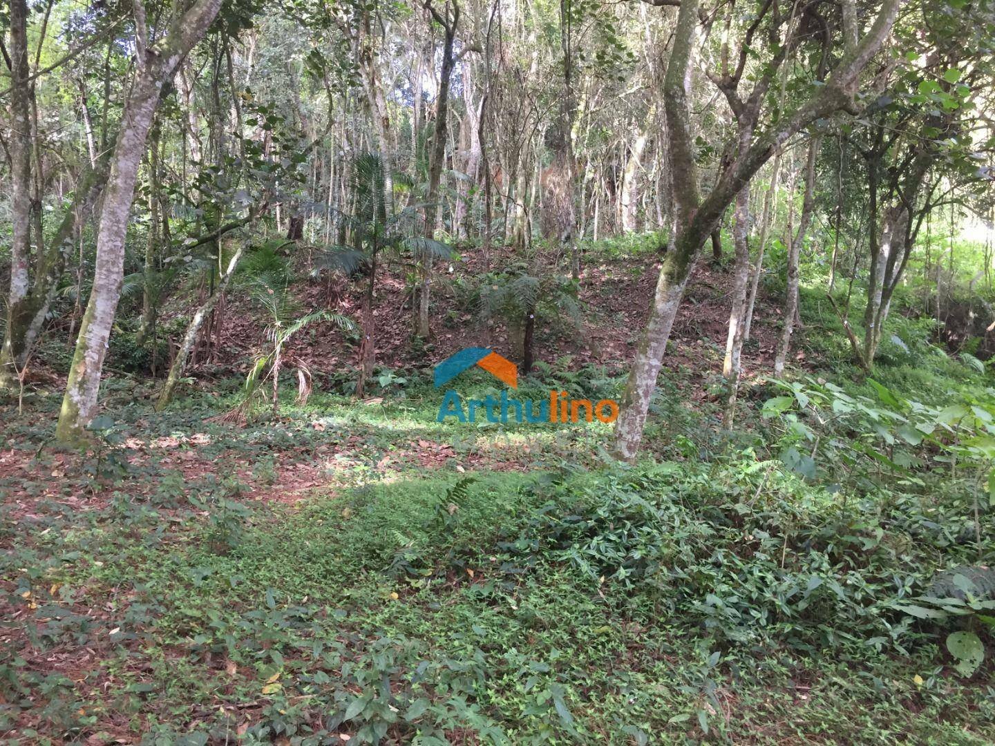 image-0