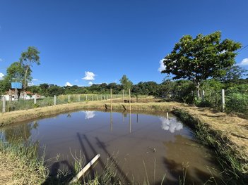 agricultural em Avenida Rio Verdinho, Área Rural de Mineiros - Mineiros - GO