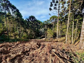land_lot em Rua Portugal, Jardim Europa - Campos do Jordão - SP
