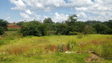 land_lot em Rodovia Mábio Gonçalves Palhano, Gleba Fazenda Palhano - Londrina - PR