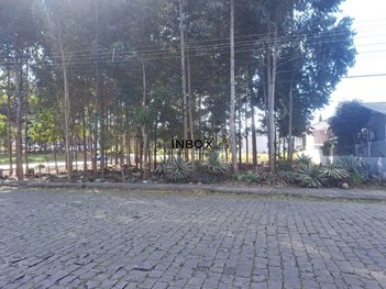 land_lot em Rua Zulmiro de Rossi, Universitário - Bento Gonçalves - RS