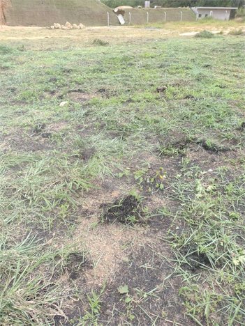 land_lot em Avenida das Torres, Jardim Centro Cívico - Sarandi - PR