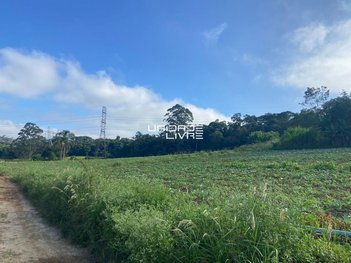 land_lot em Estrada dos Fernandes, Parque Santa Rosa - Suzano - SP