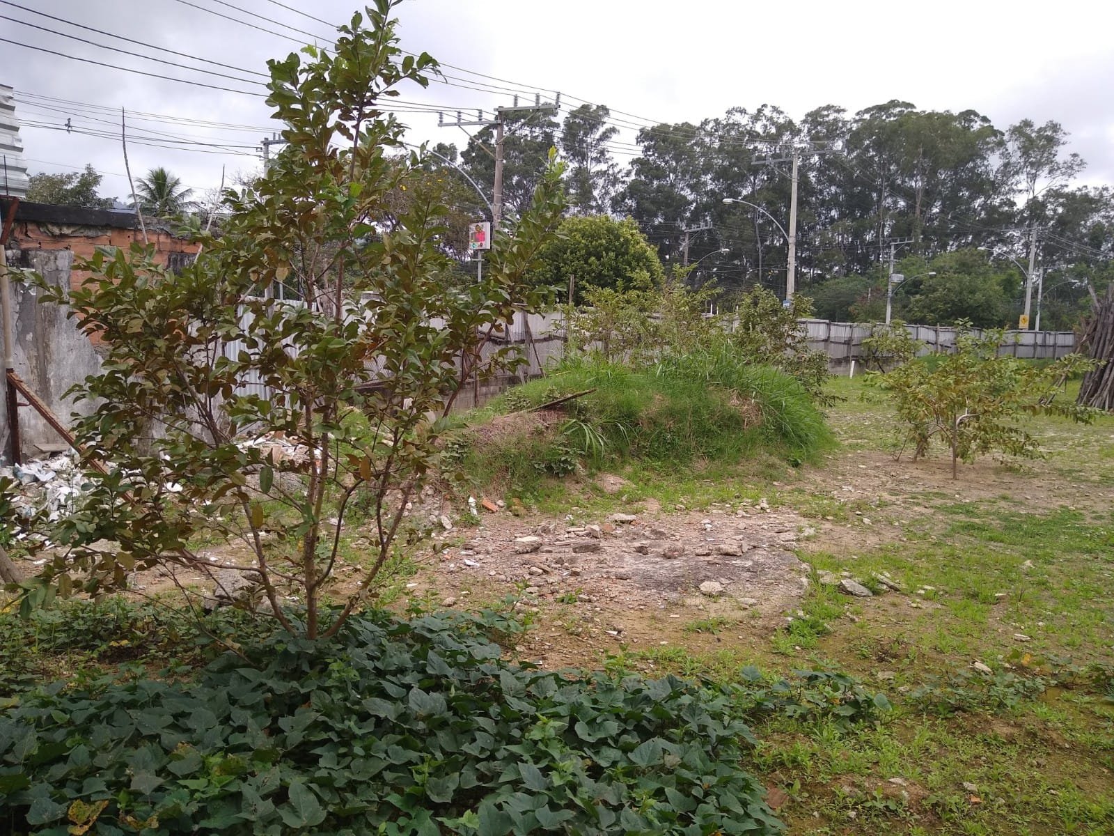 image-2