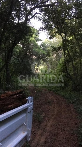 agricultural em Estrada São Caetano, Lami - Porto Alegre - RS