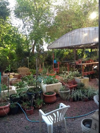 commercial_property em Euclydes Da Cunha, Partenon - Porto Alegre - RS