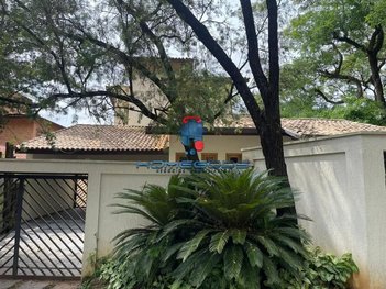 house em Avenida Papa João Paulo I, Bairro das Palmeiras - Campinas - SP
