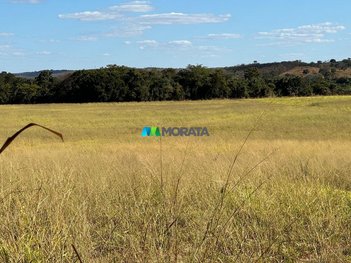 agricultural em Área Rural, Área Rural de Curvelo - Curvelo - MG