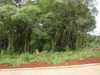 land_lot em LUCAS PERUCHI, São Defende - Criciúma - SC