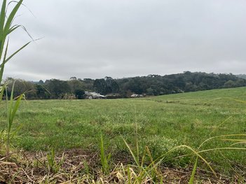 commercial_building em Rua Doutor Rubens Carvalho Rauen, Campestre - Chapecó - SC