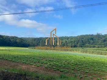 land_lot em Estrada dos Fernandes, Parque Santa Rosa - Suzano - SP