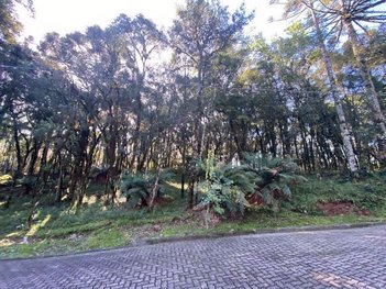 land_lot em Estrada do Caracol, Pinheiro Grosso - Canela - RS