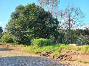 land_lot em Rua Luizina Bonatto Bertoni, Salgado Filho - Caxias do Sul - RS