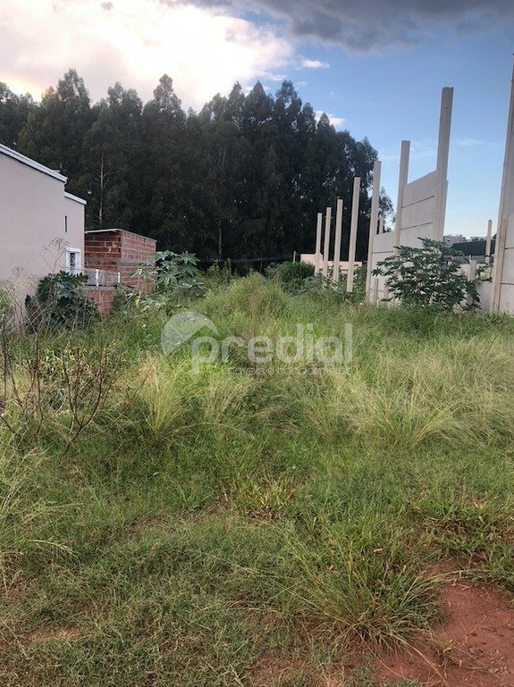 foto lote 04 .