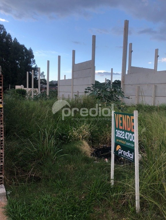 foto lote 04