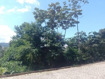 land_lot em Rua Regina de Morais, Barra do Imbuí - Teresópolis - RJ
