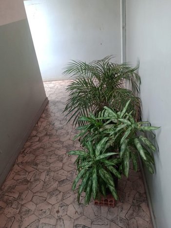 apartment em Rua Francisco de Assis Lima, Bairro das Indústrias I - Belo Horizonte - MG