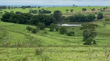 agricultural em Área Rural, Área Rural de Tupã - Tupã - SP