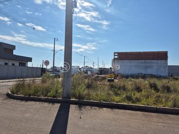 land_lot em Avenida Nestor de Moura Jardim, Coronel Nassuca - Guaíba - RS