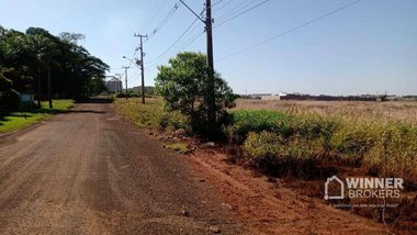 land_lot em Estrada Nhanguaçu, Gleba Patrimônio Maringá - Maringá - PR