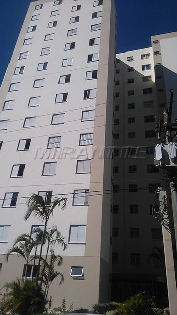apartment em Avenida Parada Pinto, Vila Nova Cachoeirinha - São Paulo - SP