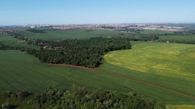 agricultural em Rua Ana Caputo Piacentini, Cinco Conjuntos - Londrina - PR