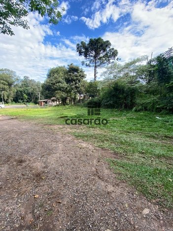 land_lot em BR-158, Nossa Senhora Medianeira - Santa Maria - RS